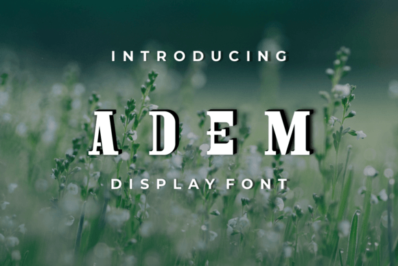 Adem Typeface Review for Modern Campaigns