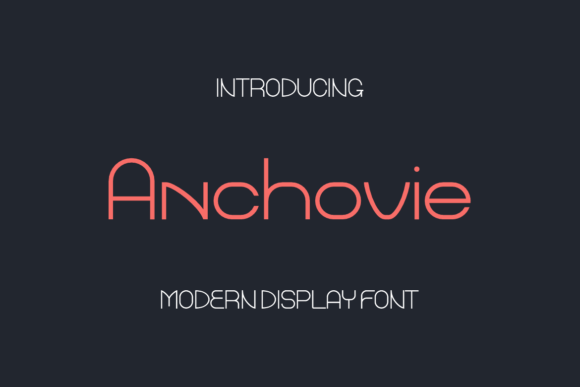 Anchovie: A Modern Sans Serif Font for Business Branding
