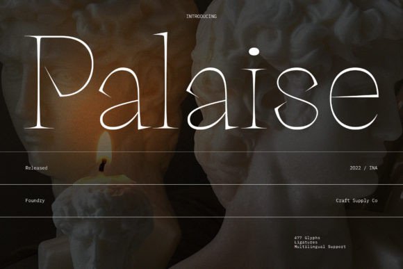 Palaise Typeface Review for Modern Branding