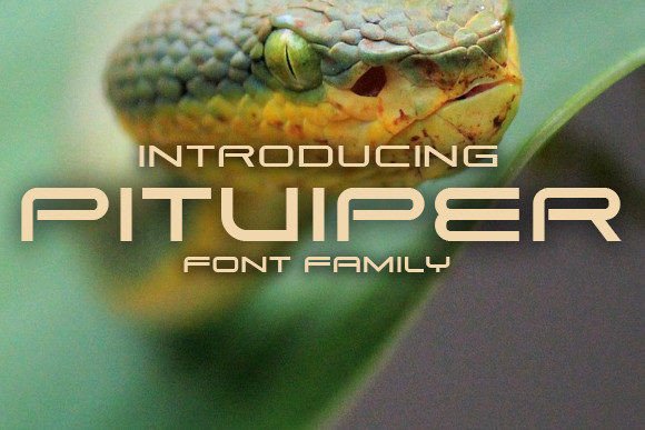 Pitviper Typeface for Bold Business Branding